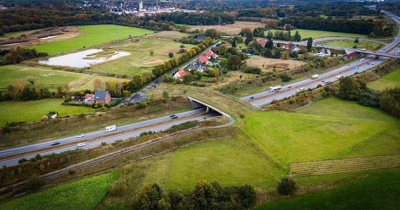 Naturschutzbeirat lehnt Expansion von Windflöte ab