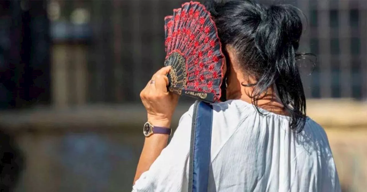 ¡Llévate gorra! Así estará el clima en Guanajuato este 12 de febrero