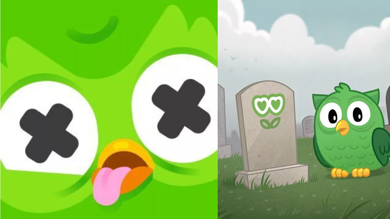 Muere el Búho Duolingo