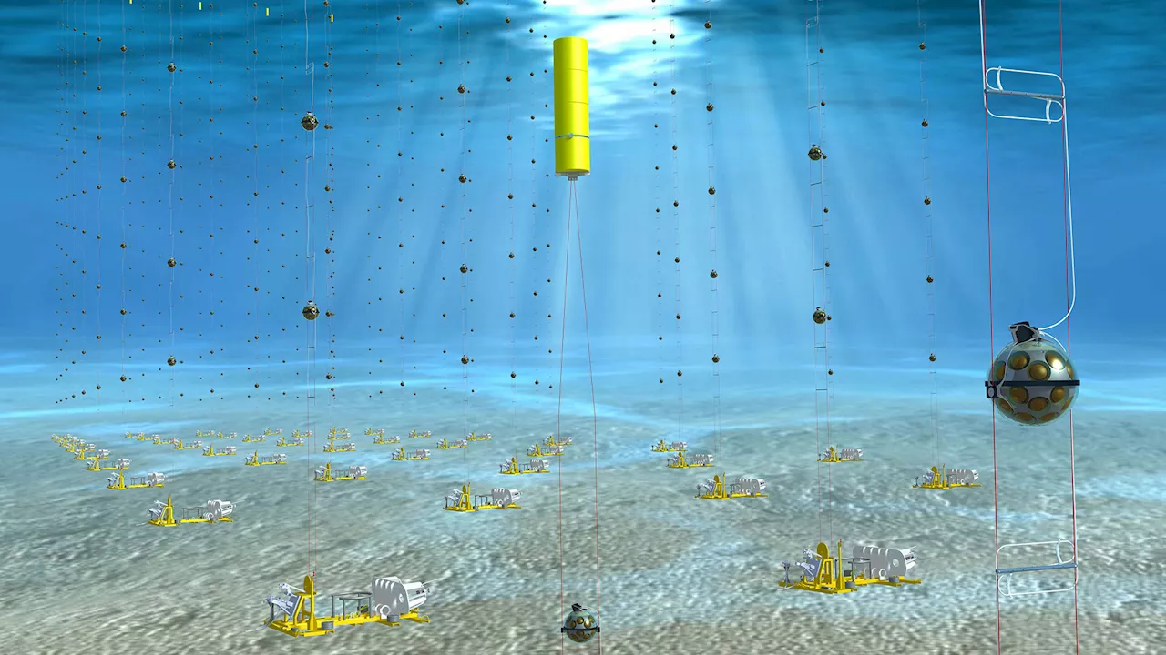 Record-Breaking High Energy Neutrino Detected by KM3NeT