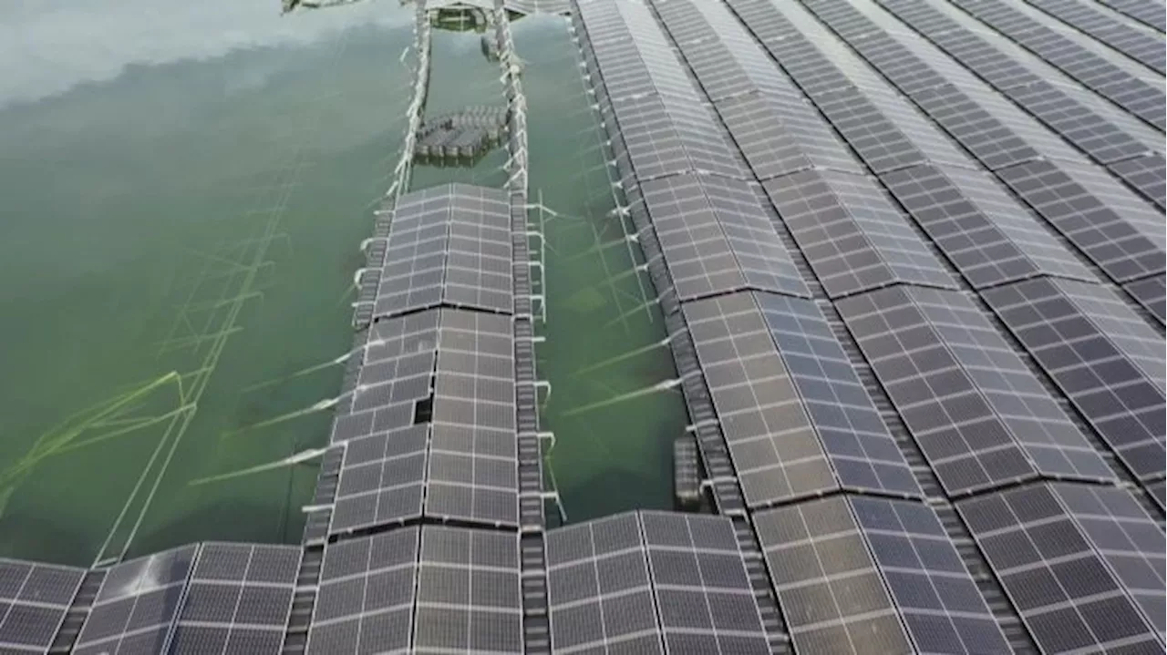 Schwimmende Solaranlage auf dem Cottbuser Ostsee: Erste Sturmschäden