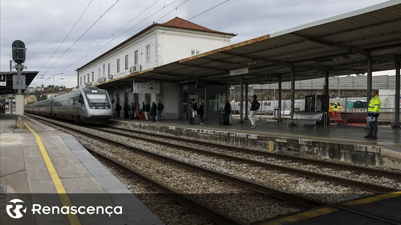 Lusolav excluída de concurso para troço da linha de alta velocidade Lisboa-Porto