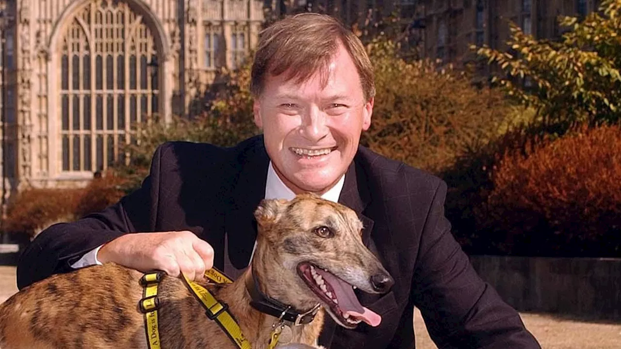 Prevent Programme 'Exited' Sir David Amess' Killer 'Too Quickly', Review Finds