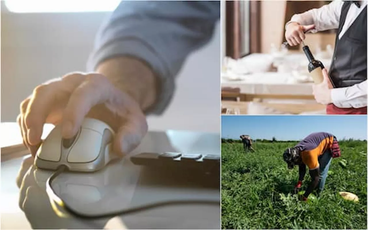 Carenza di Lavoratori nel Settore Agricolo e Domande per il Lavoro Subordinato Non Stagionale