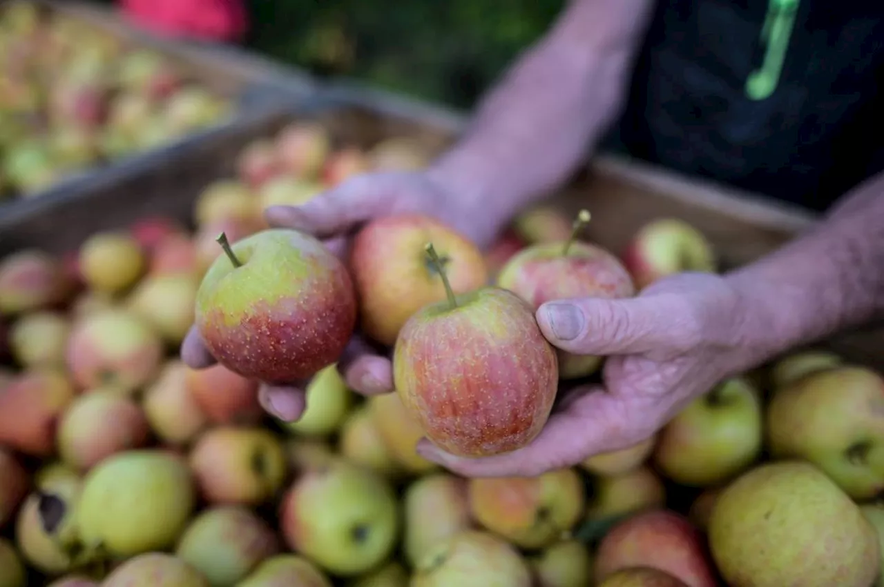 Un ancien arboriculteur malade des pesticides lance un appel aux agriculteurs