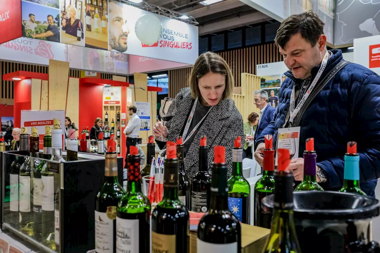 Vins et spiritueux. Dans l’angoisse de « Trump 2.0 », bordeaux et cognac se vendent moins bien à l’étranger