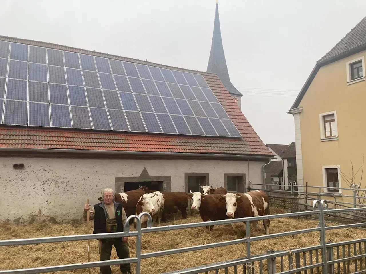 Bayern: Wie die Weidepflicht Bio-Bauern in die Bredouille bringt