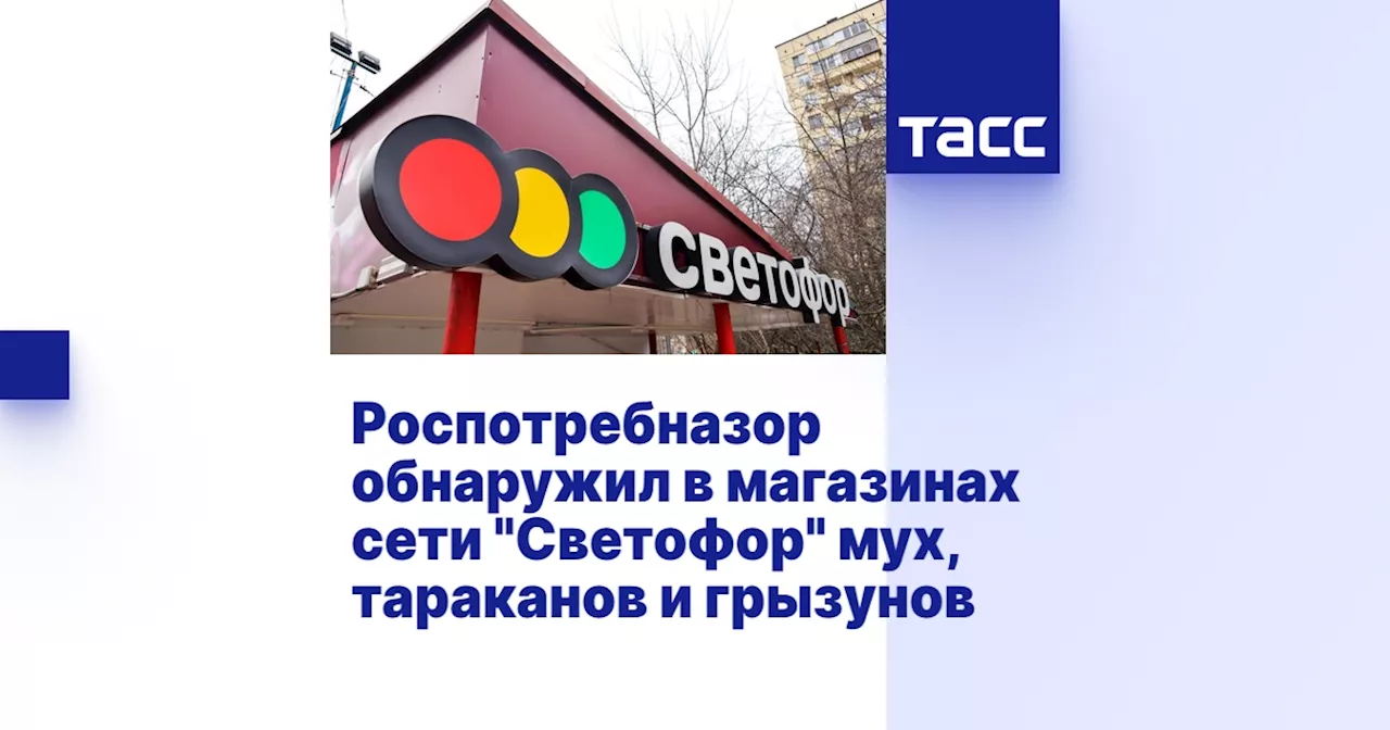 Роспотребназор обнаружил в магазинах сети 'Светофор' мух, тараканов и грызунов