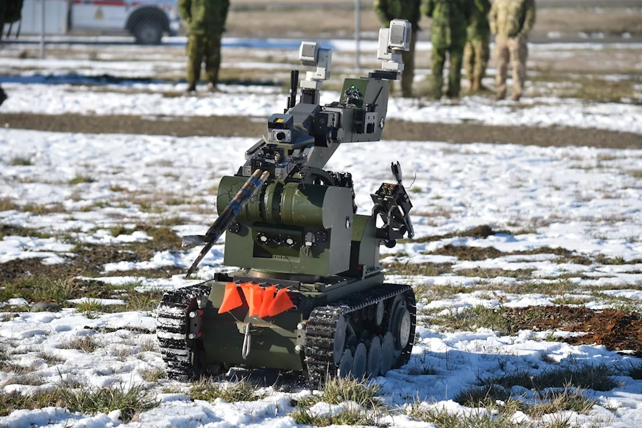 Canadian Armed Forces Conduct Annual Taz Runner Explosive Exercise