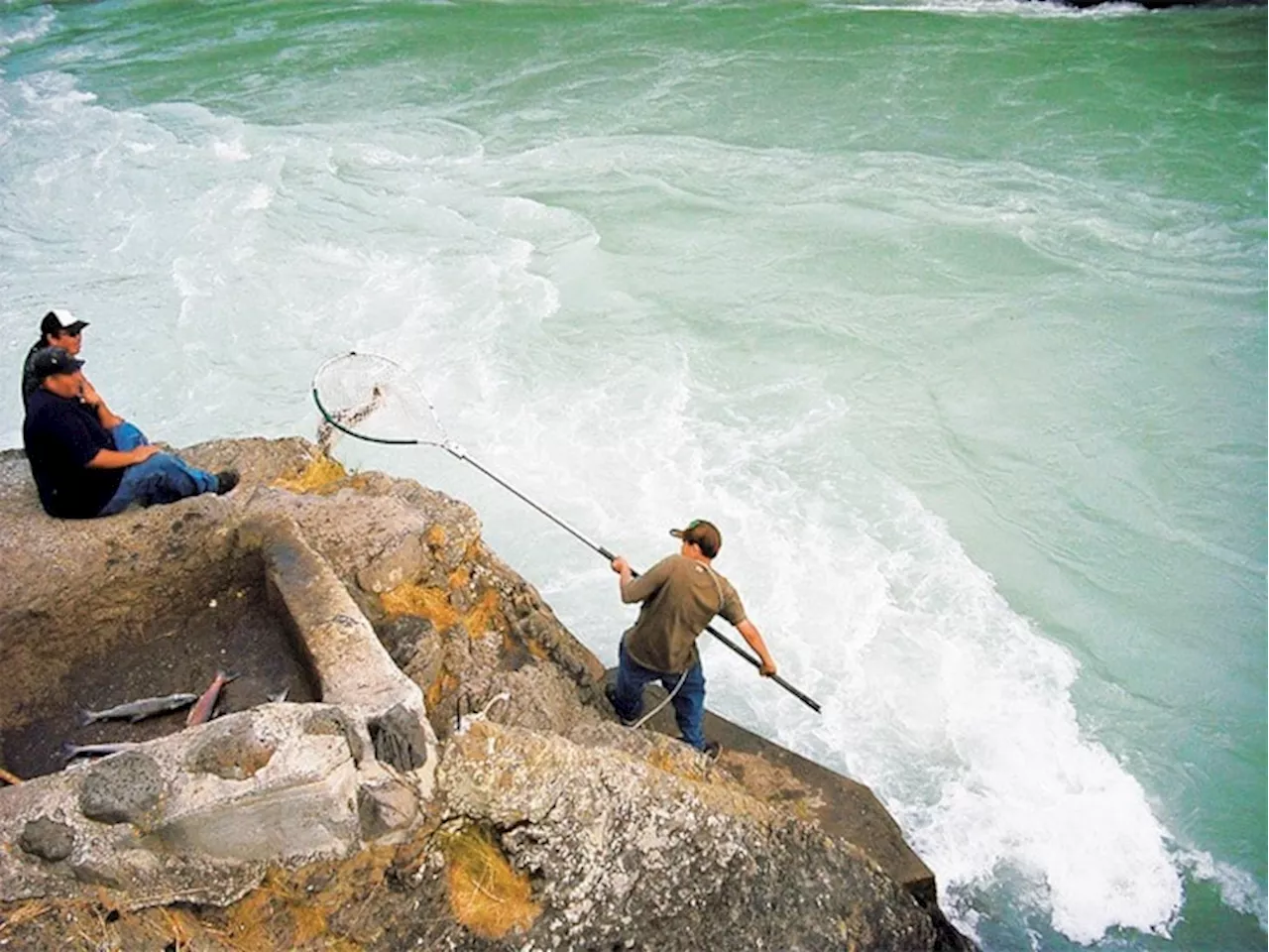 Tŝilhqot’in Chiefs Demand Halt to Alaskan Fishery Impacting Salmon Stocks