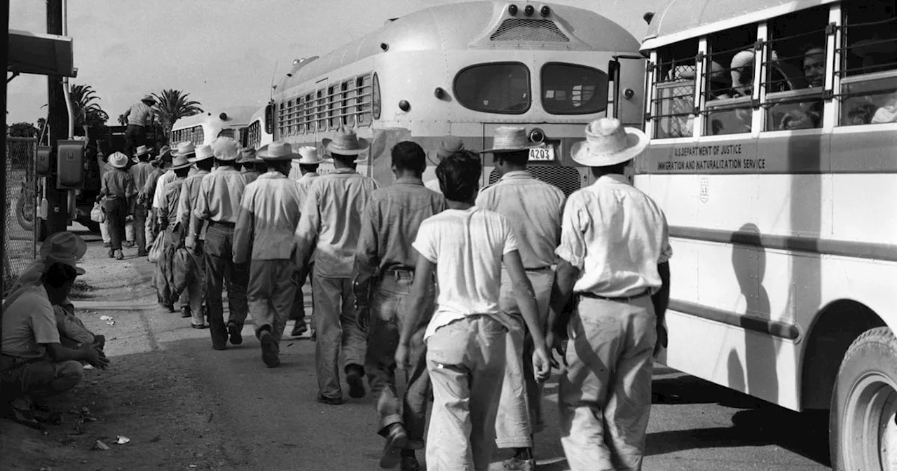 Echoes of Operation Wetback: Trump's Immigration Crackdown Mirrors 1950s Mass Deportations