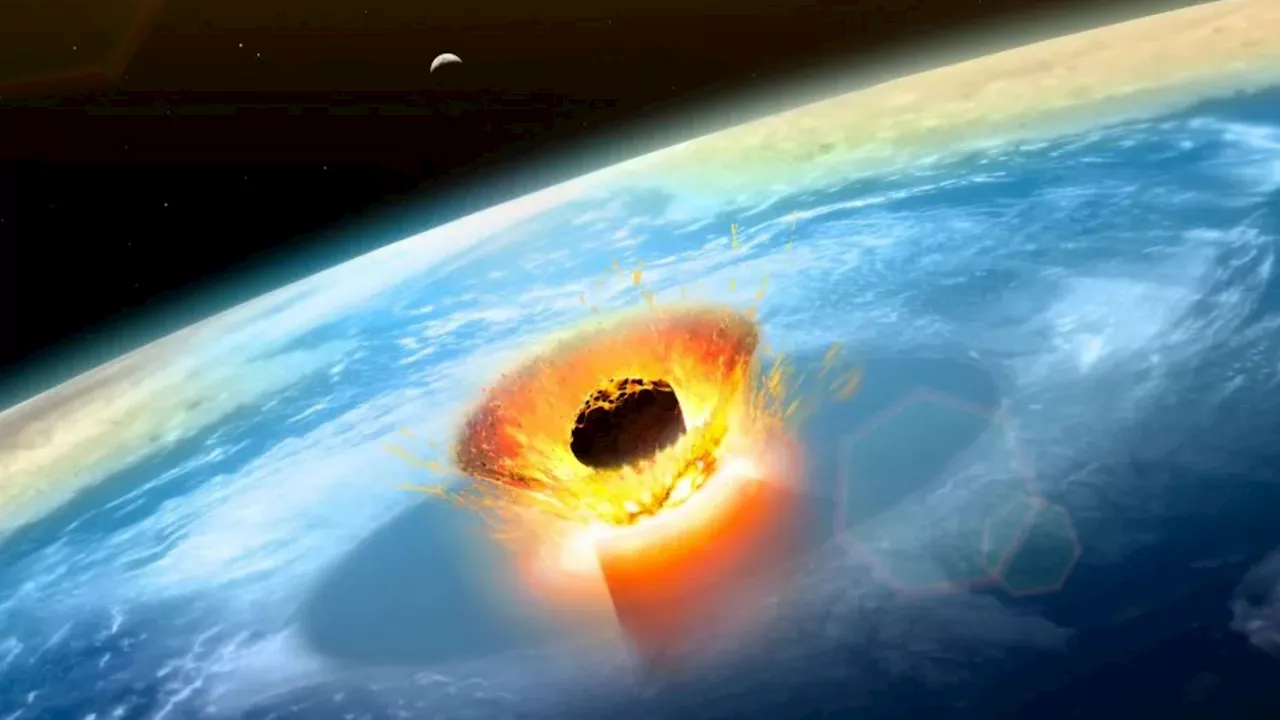 Asteroid 2024 YR4: Odds of Earth Collision Rise, 'Emergency' Measures Declared