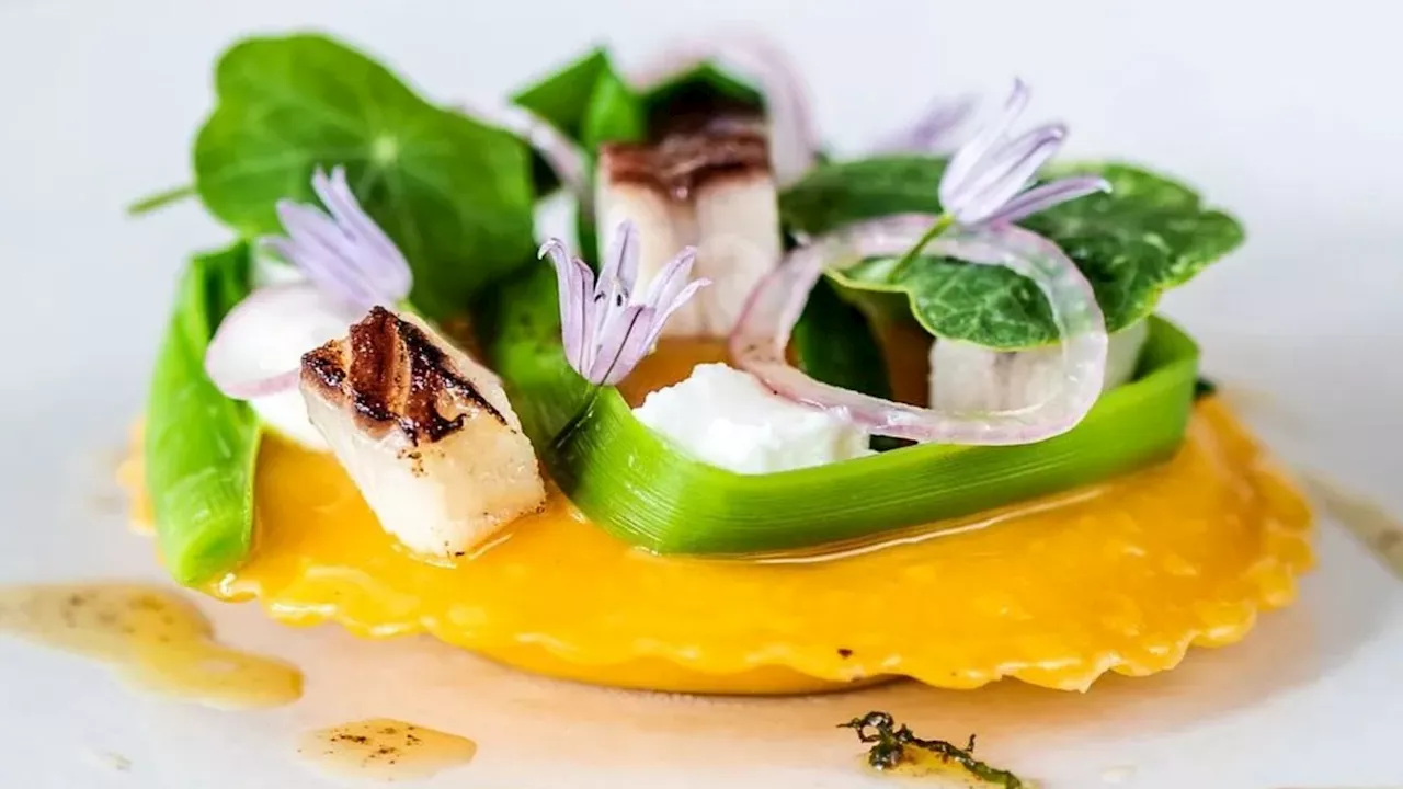 Michelin-Starred Dining on a Budget: Top Restaurants Under £50