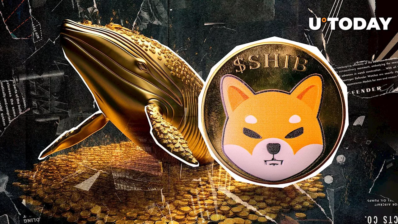 SHIB Whale Activity: Inflows Exceed Outflows, But Are They Bullish?