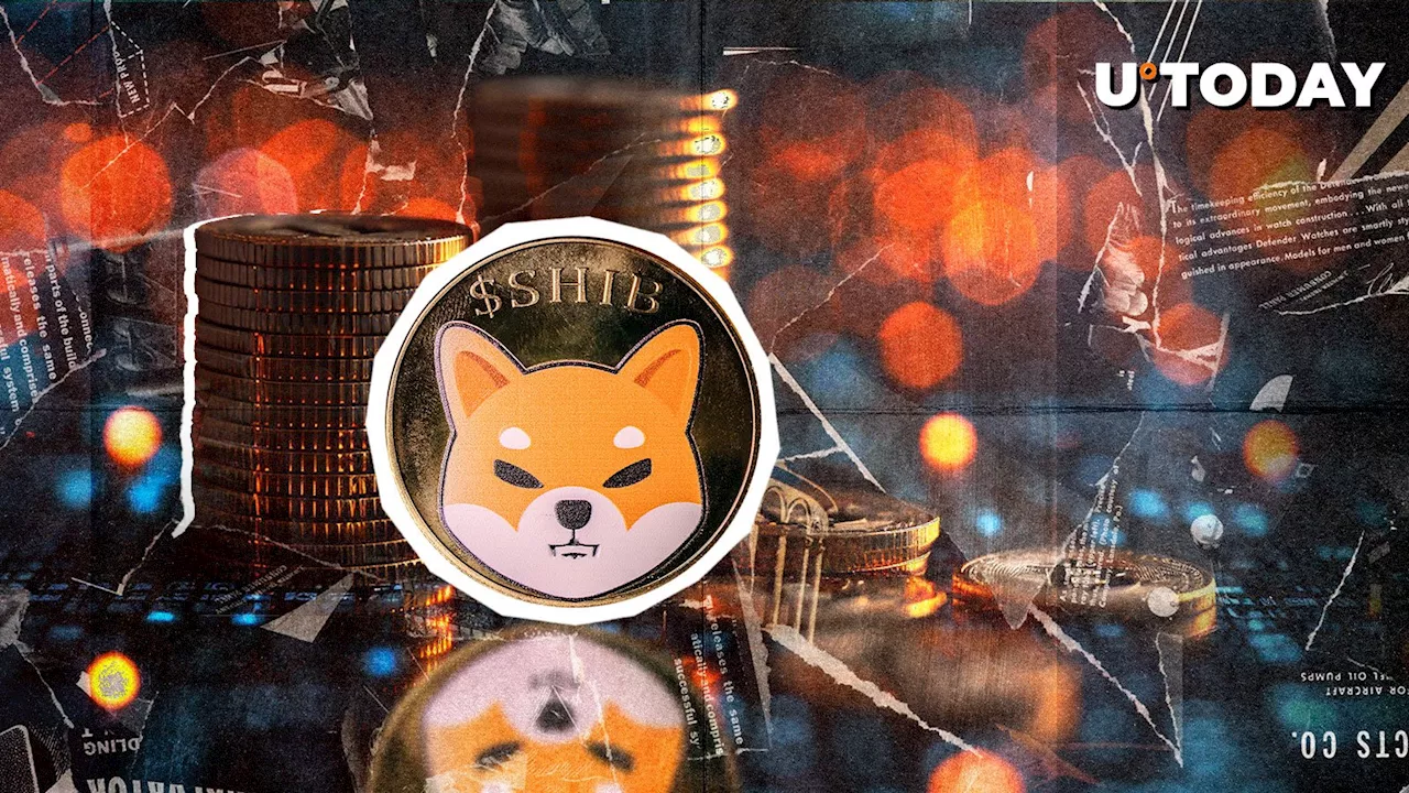 Shiba Inu Sees Netflow Reversal Amid Altcoin Sell-off