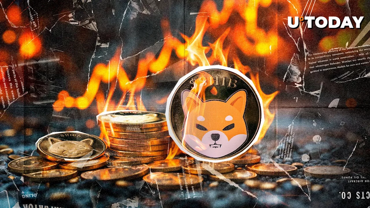 Shiba Inu (SHIB) Prepares for Decentralized Governance with DAOs