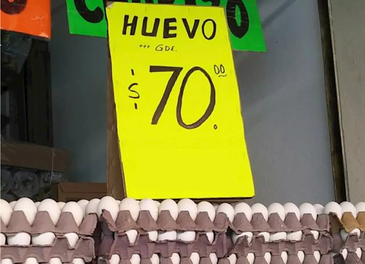 El precio del huevo en México alcanza nuevos máximos