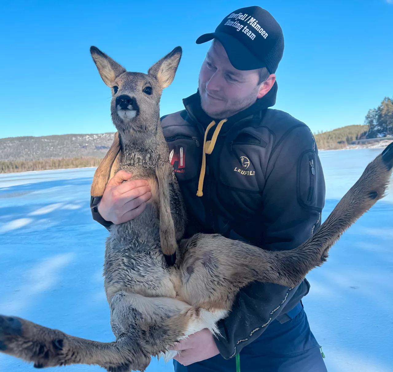 Måtte redde «Bambi»: – Kom seg ingen vei