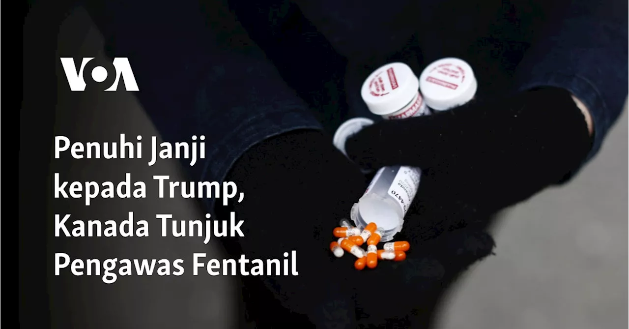 Kanada Tunjuk Kepala Pengawas Fentanil Setelah Janji Peningkatan Upaya