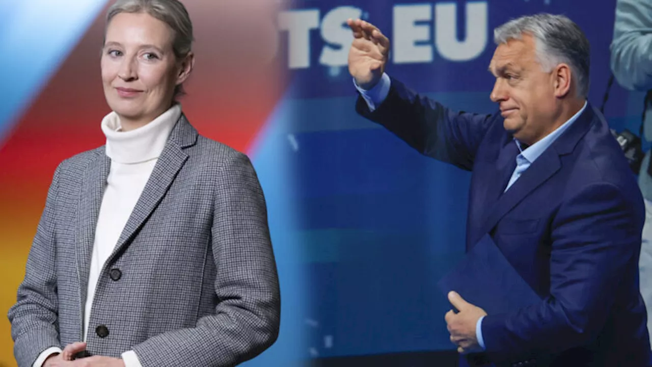 «Ritterschlag» für die AfD: Ungarns Ministerpräsident Viktor Orbán empfängt AfD-Chefin Weidel in Budapest