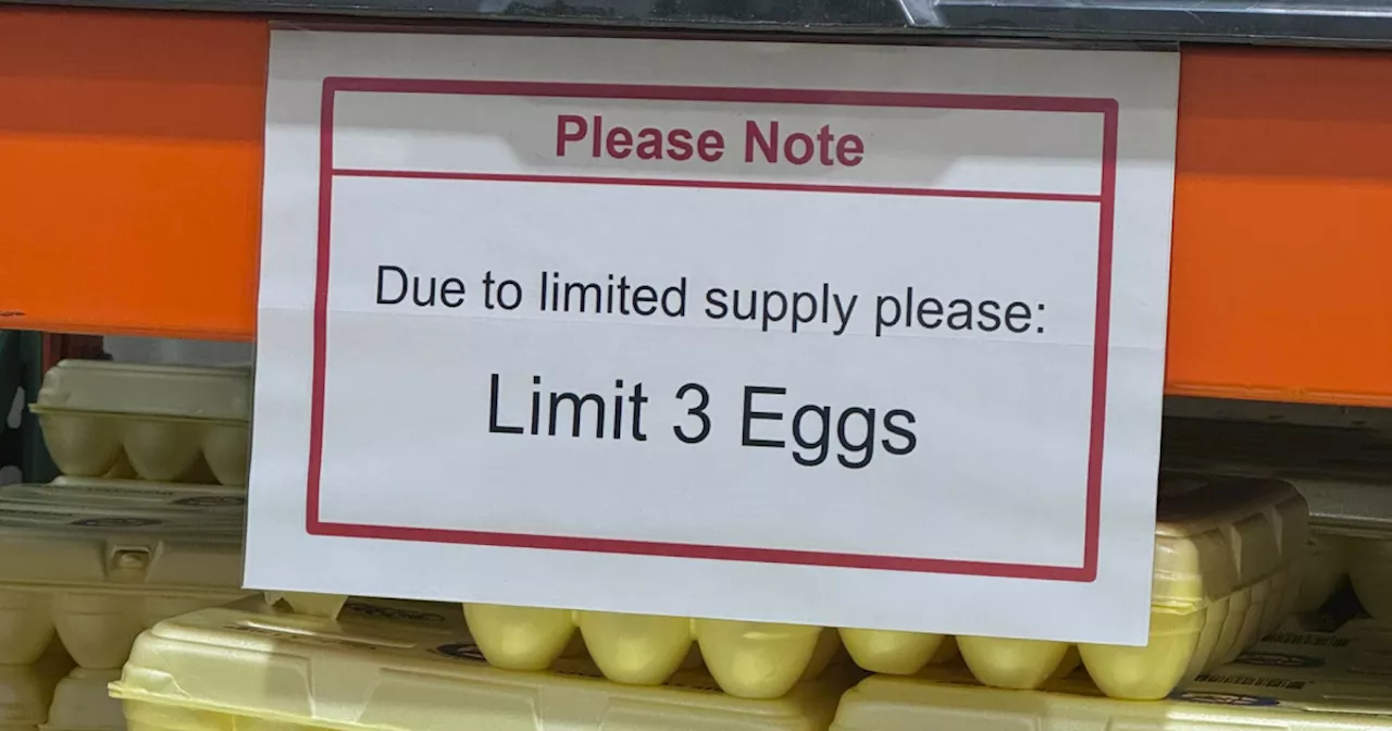 Grocery Stores Impose Egg Purchase Limits Amid Bird Flu Impact