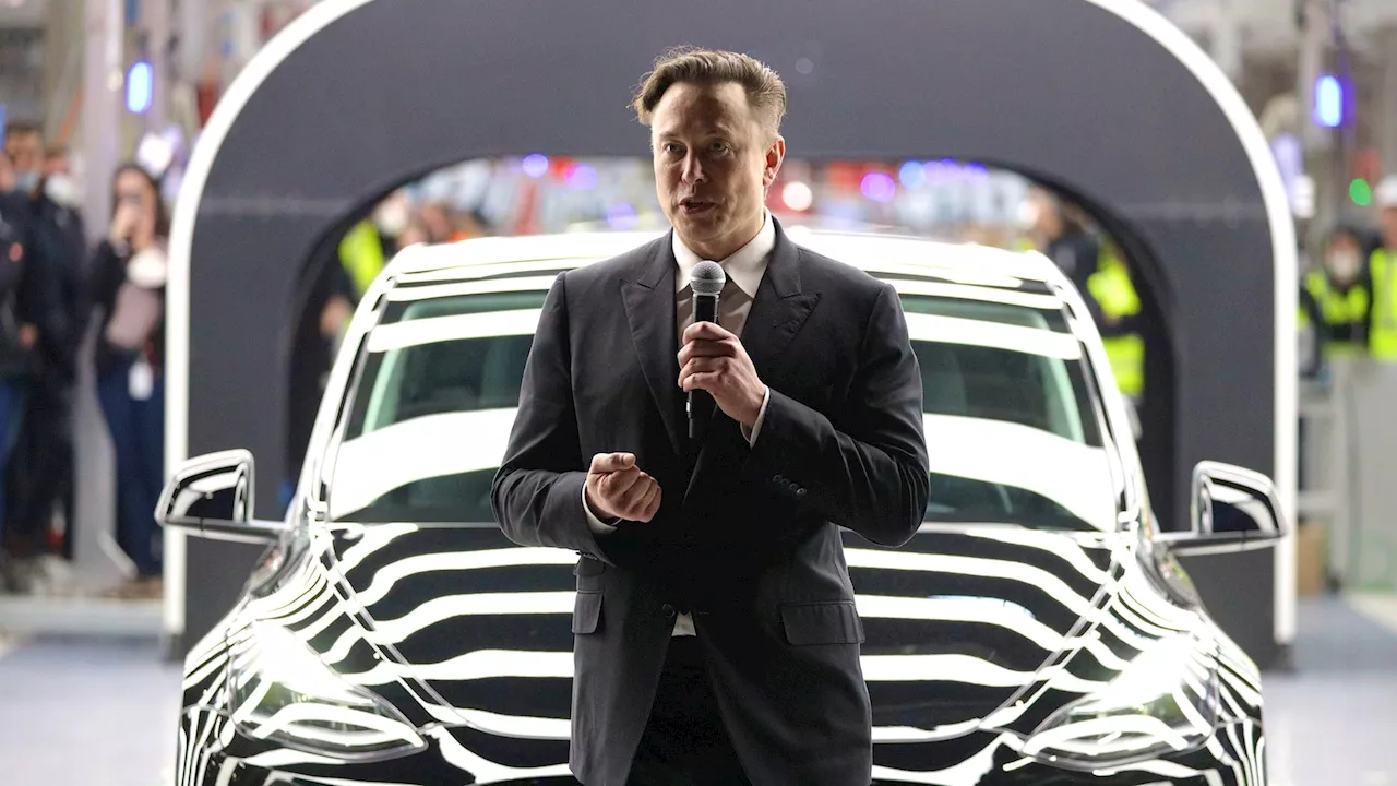 Elon Musk's Wealth Plummets as Tesla Stock Faces Downturn Amidst Growing Concerns