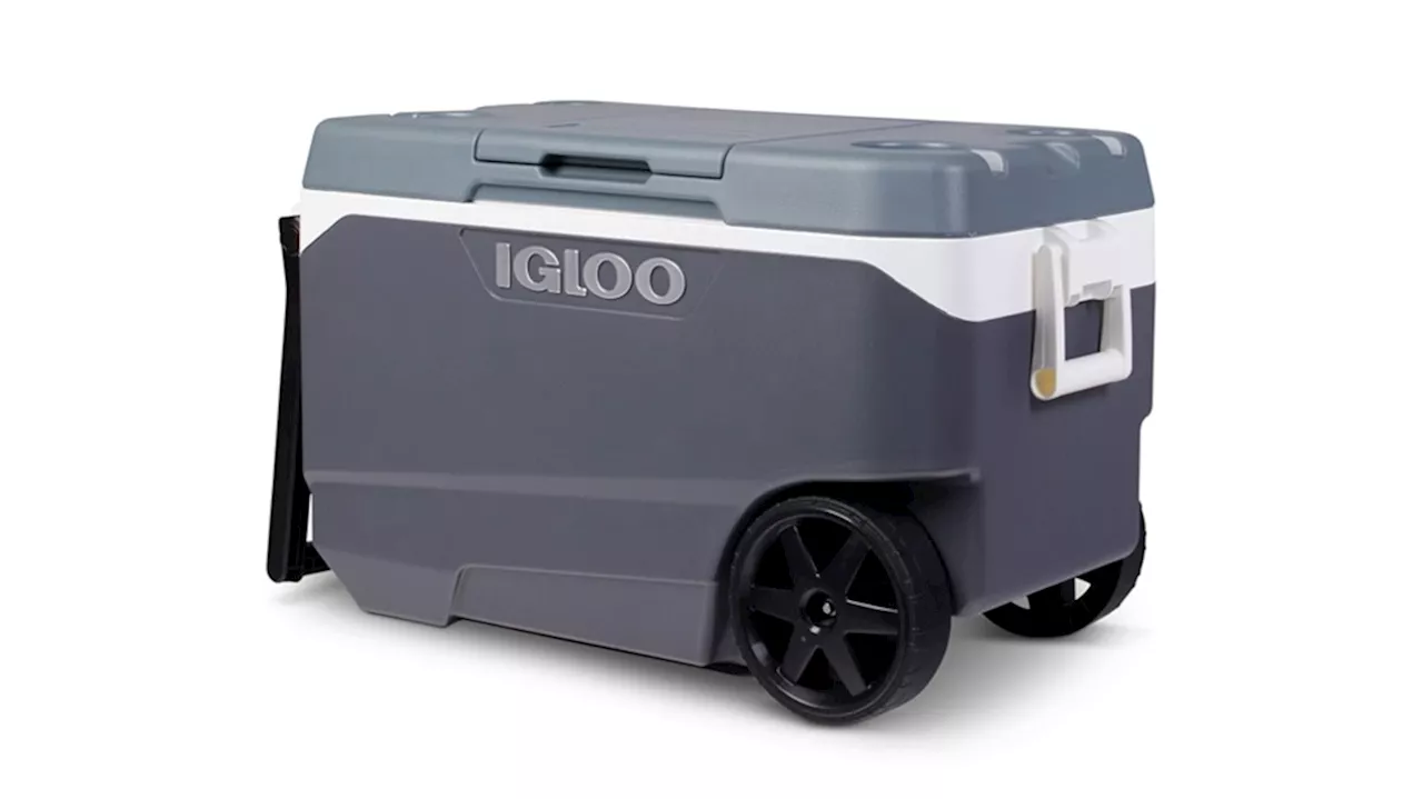 Igloo Recalls 90-Quart Flip & Tow Coolers Due to Finger Injury Risk