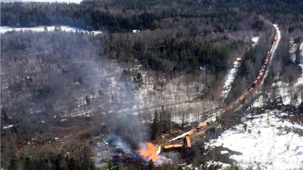 Maine Train Derailment Blamed on Beaver Dam