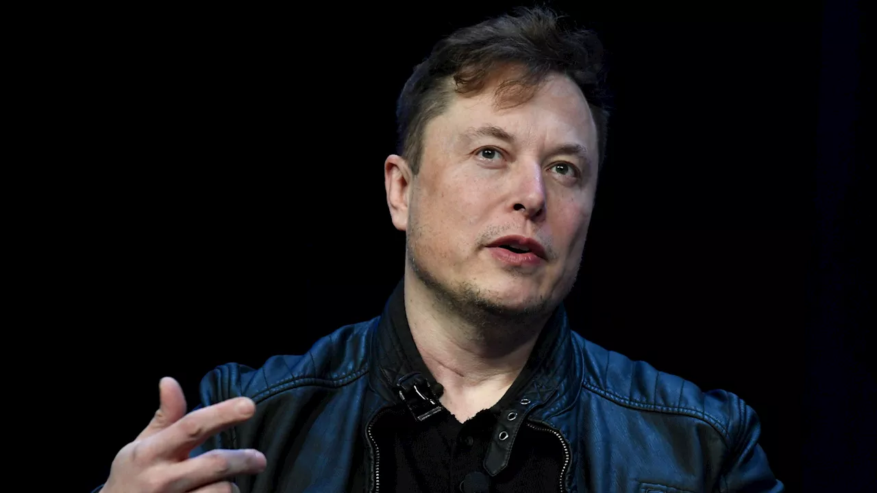 Musk Calls for Deleting US Agencies, Tesla Stock Plummets