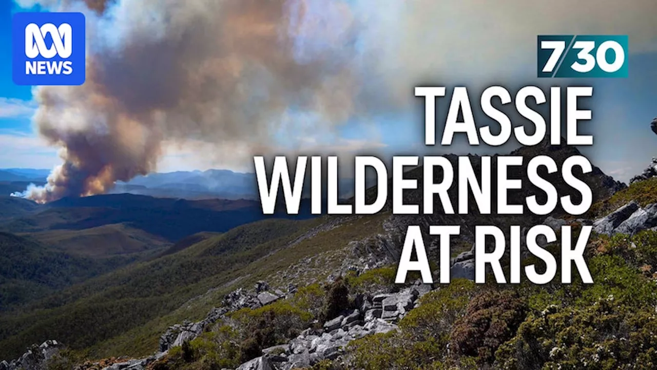 Tasmanian wilderness at risk from fires