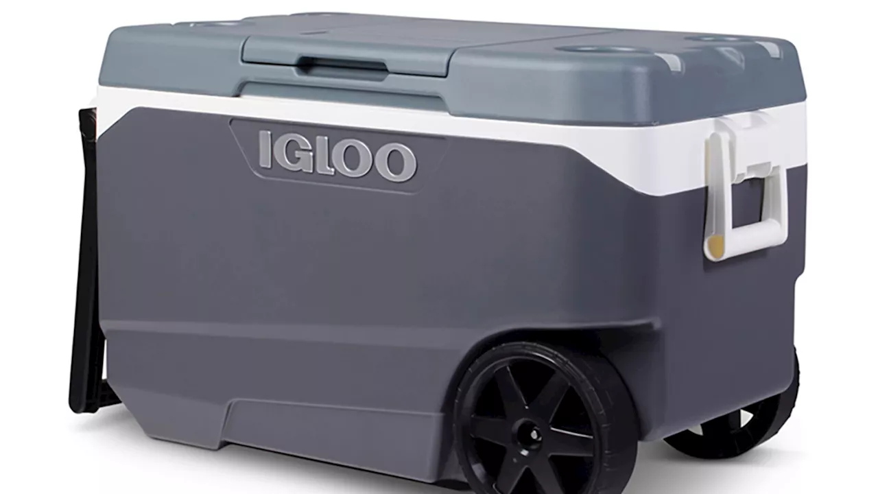 Igloo Recalls Over 1 Million Coolers Due to Fingertip Injury Risk