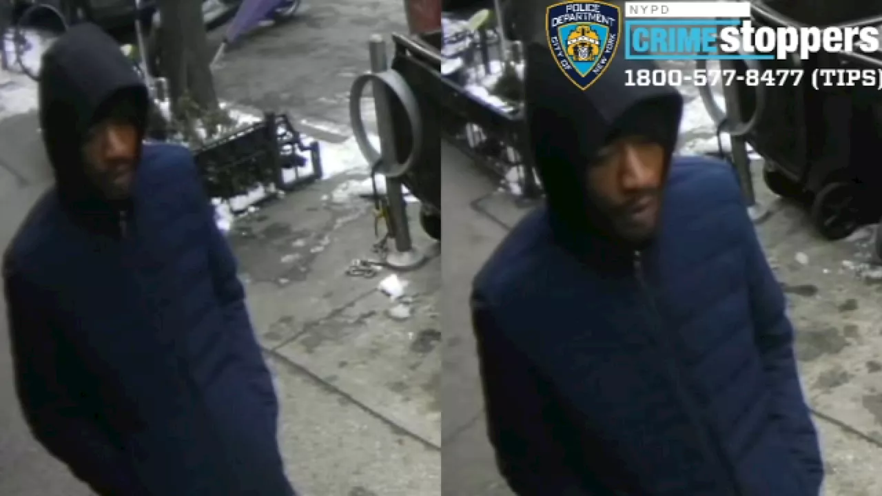 Man Posing as ICE Agent Attempts Rape in Brooklyn Heights