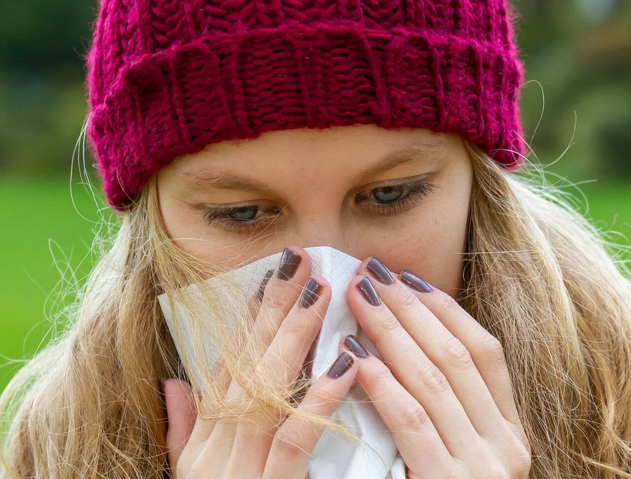 Risque maximal d'allergies au pollen dès février