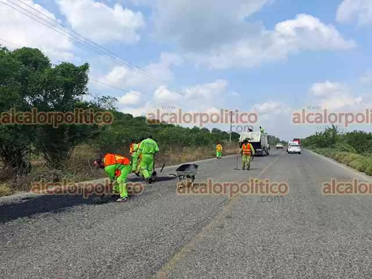 Programa 'Bachetón' llega al tramo carretero Álamo-Tihuatlán