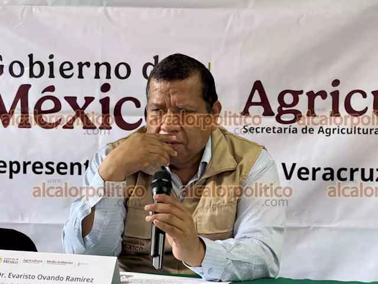 SADER Implementa Programa de Apoyo para Sistemas de Riego en Veracruz