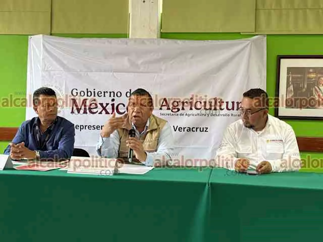 Veracruz se enfrenta a una temporada de sequía 'más compleja'