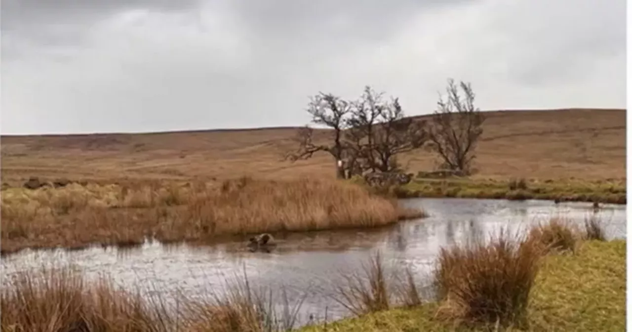 National Trust Divis and Black Mountain Site to Undergo Major Refurbishment