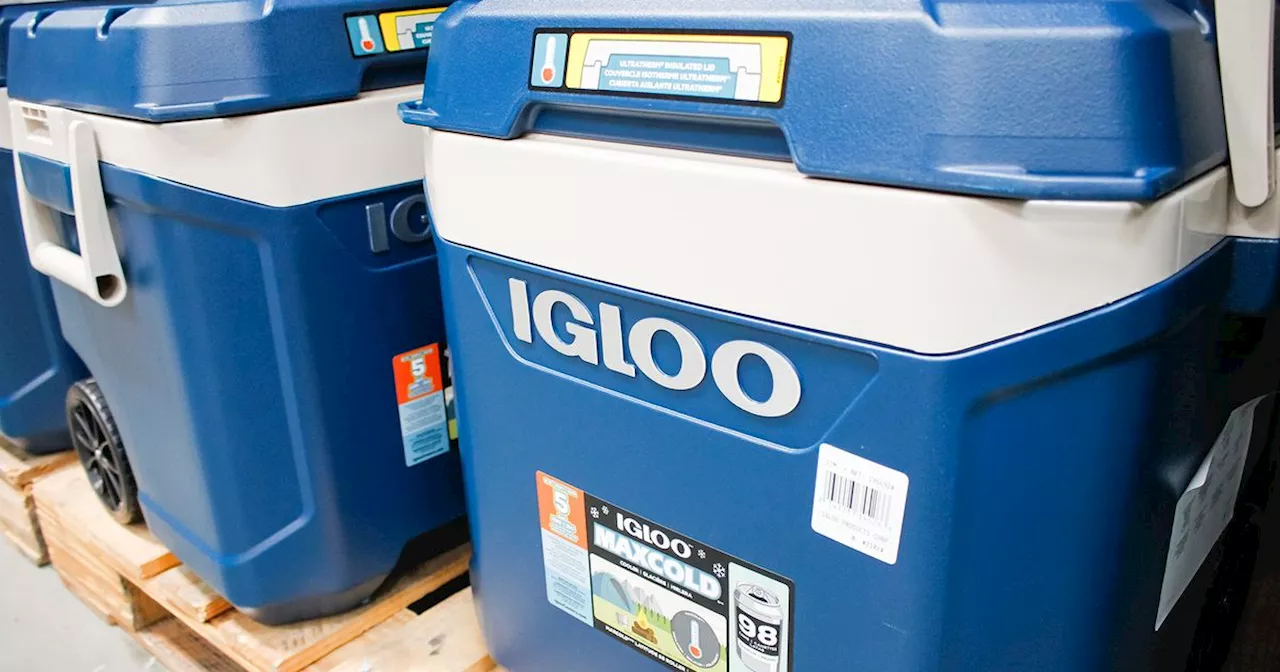 Thousands of Igloo Coolers Recalled Due to Fingertip Injury Hazard