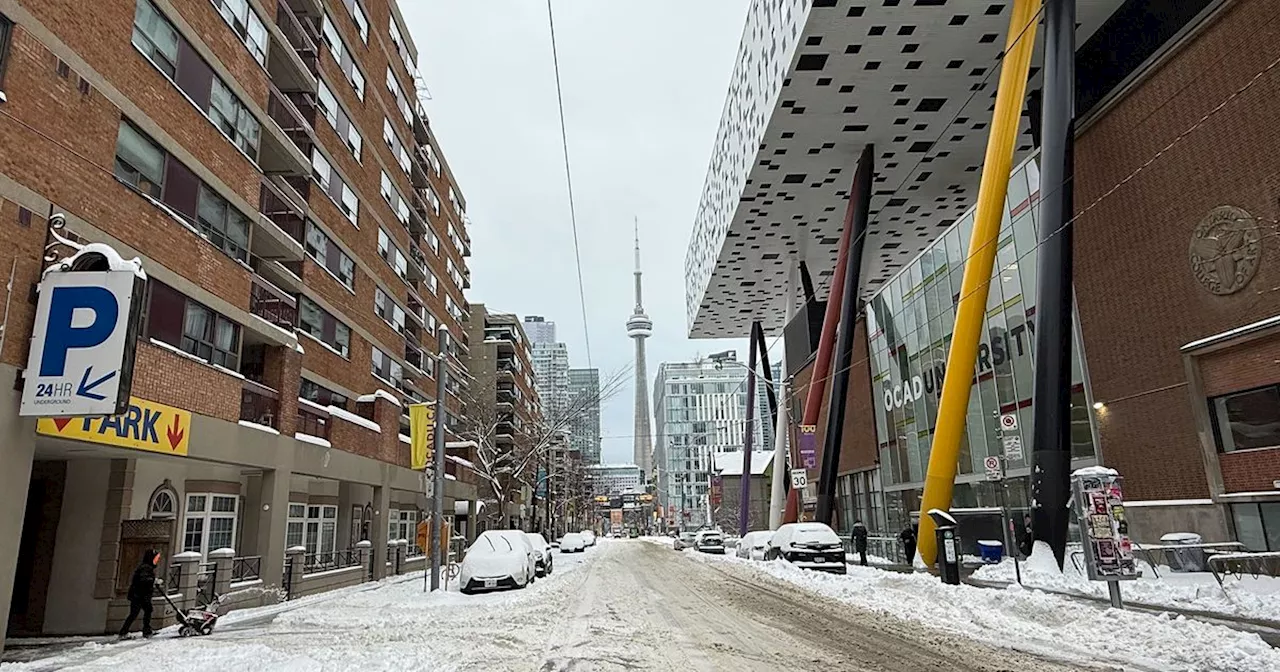 Toronto Buried Under Snowstorm: Schools, Transit Disrupted, City Urges Residents to Stay Indoors