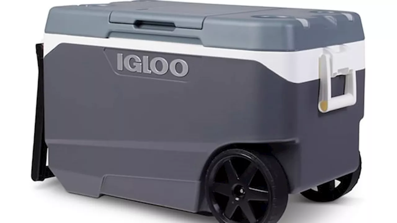 Igloo Recalls Over 1 Million Coolers Due to Handle Hazard