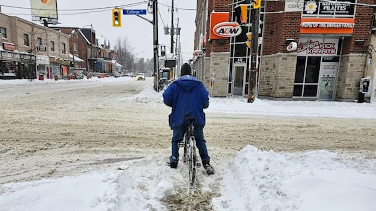 GTA Schools, Universities Closed as Winter Storm Blankets City with Snow