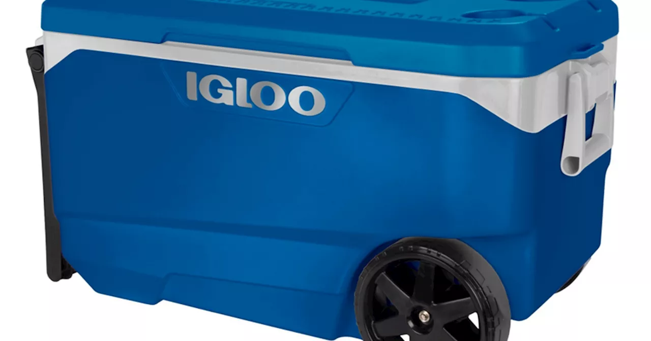 Igloo Rolling Coolers Recalled Over Fingertip Injuries