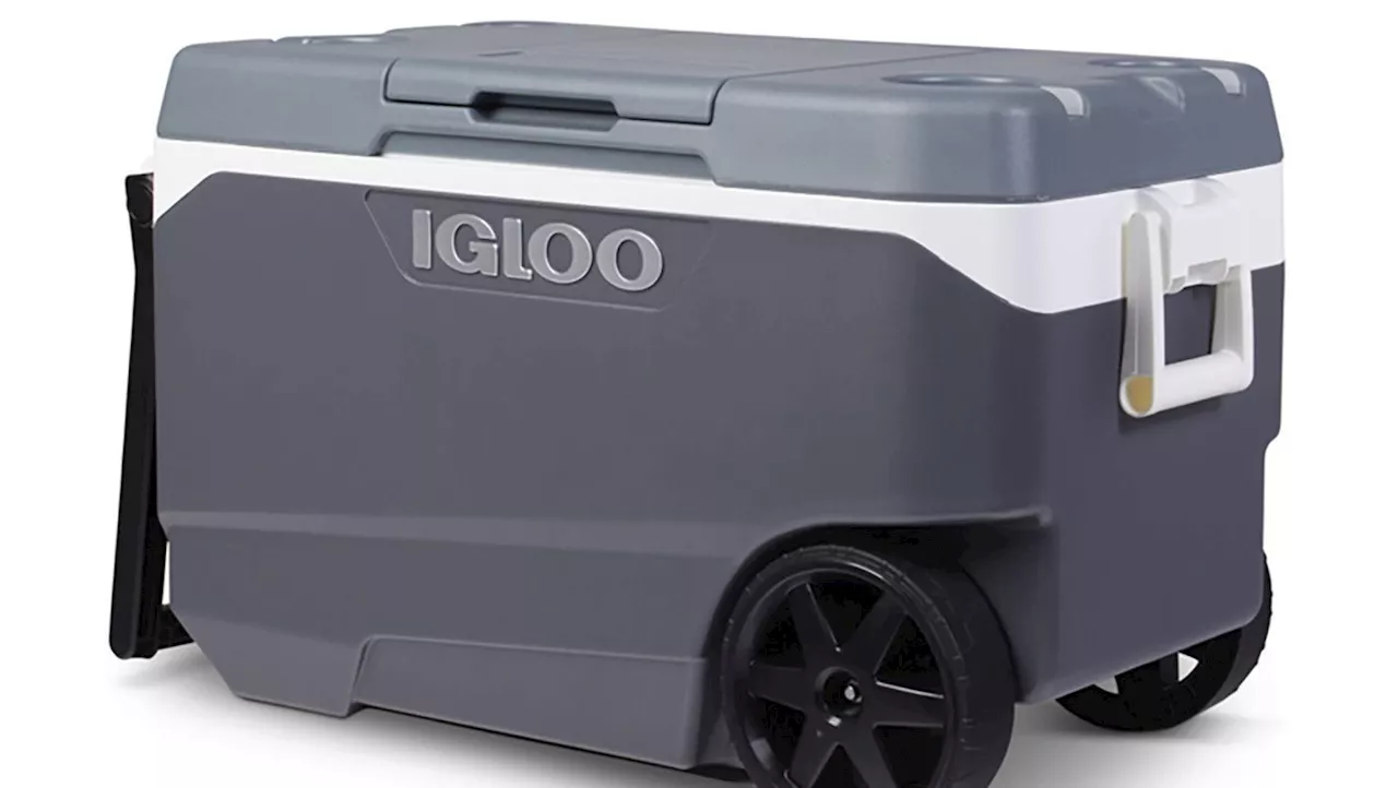 Igloo Recalls Over 1 Million Coolers Due to Fingertip Injury Hazard