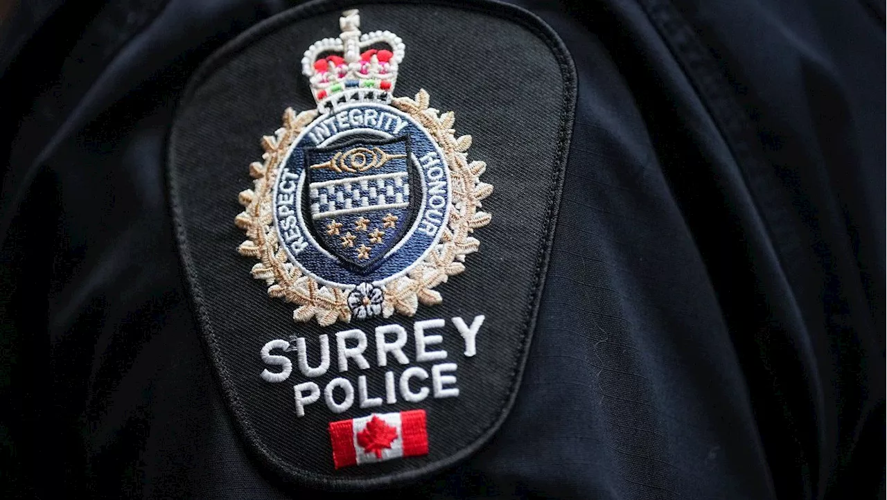 Two Men Plead Guilty in Fatal Surrey Hit-and-Run