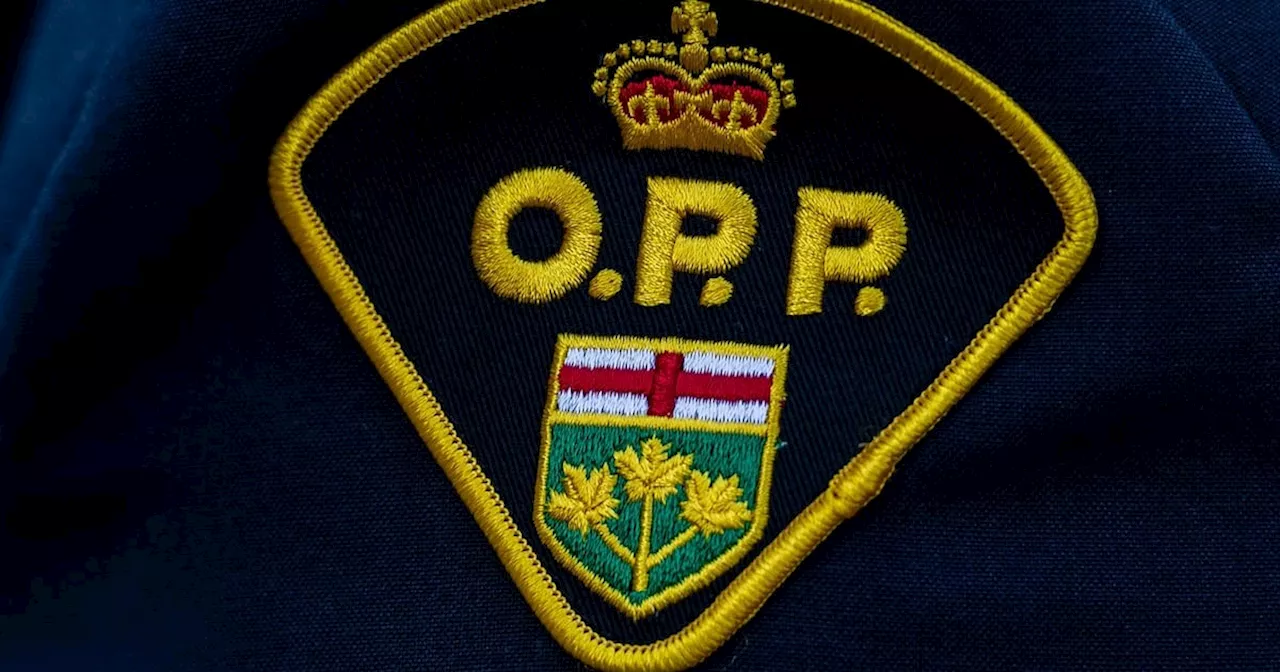 Hamilton Woman Charged After Wrong-Way Driving on QEW