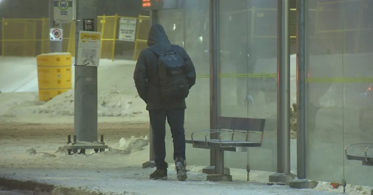 Heavy Snowfall Disrupts Travel and Transit in GTA