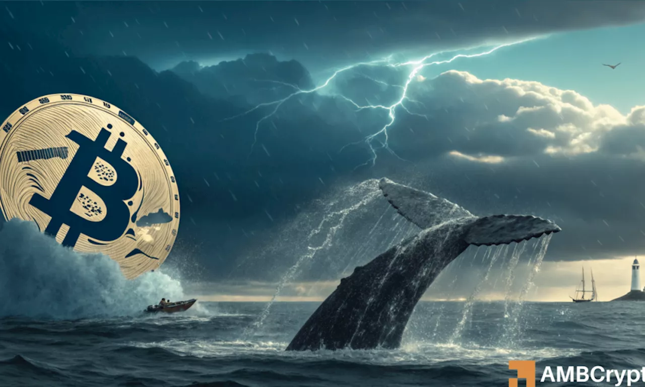 Bitcoin Price Correction Looms as Whales Cash Out and Indicators Decline