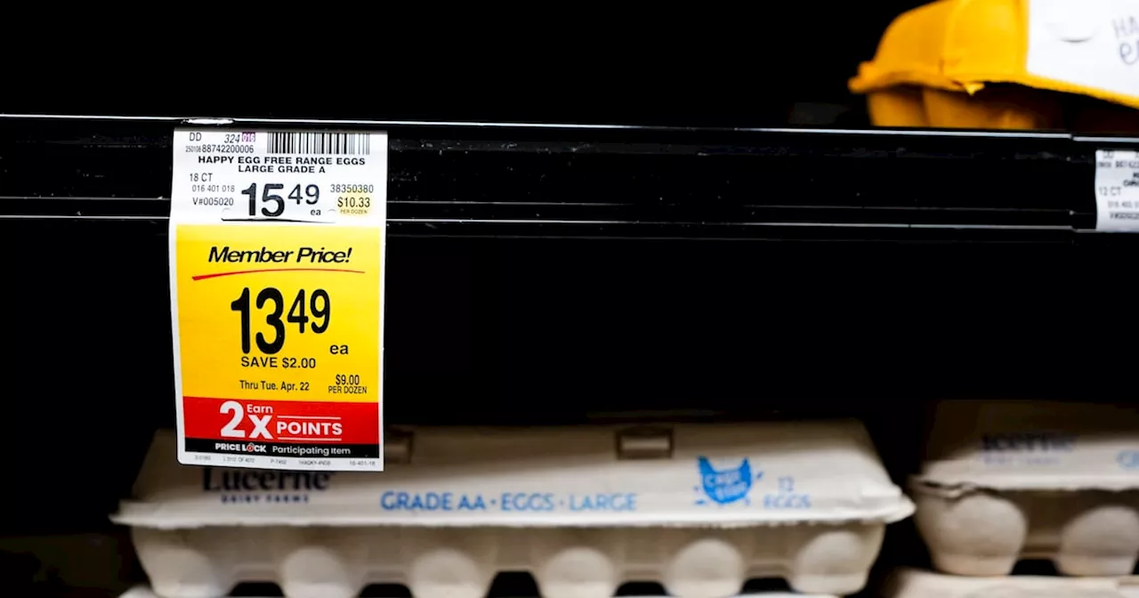 Empty Egg Shelves Highlight Supply Chain Strain