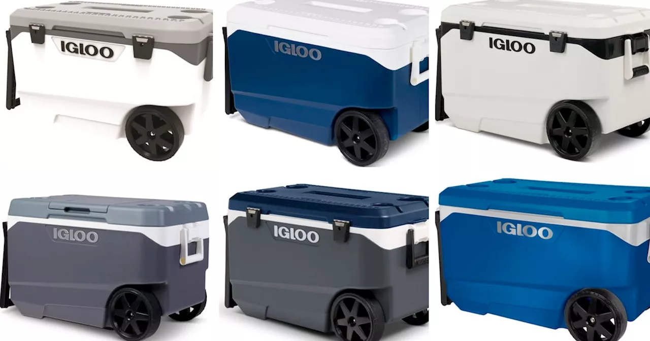 ‘Fingertip amputation and crushing hazards’: Igloo recalls coolers with tow handles