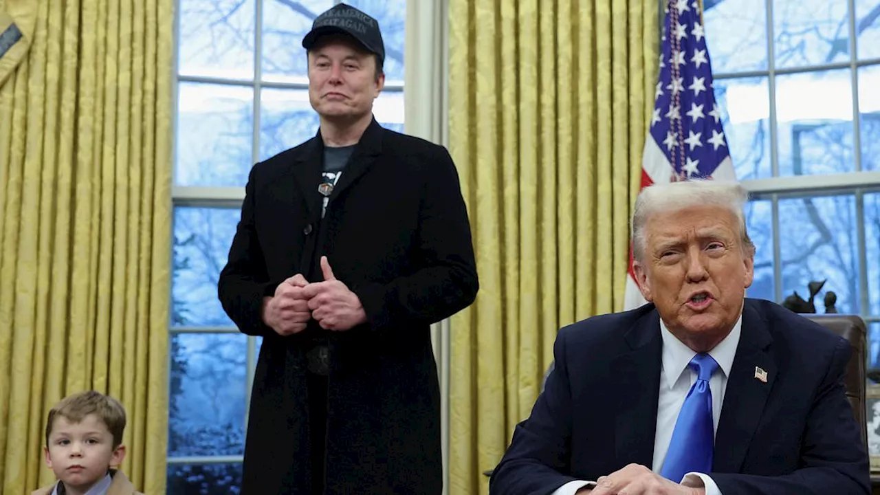 Body Language Expert: Elon Musk's Oval Office Visit Shows Trump's Power Play